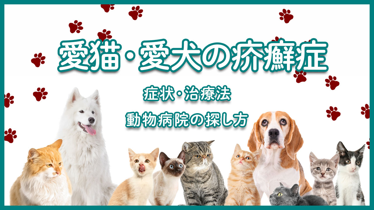 サイトサムネイル